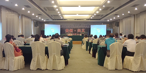 meeting room.jpg meeting room.jpg