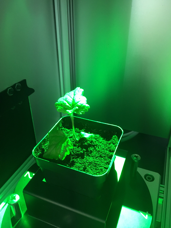 IMG_1265-1.jpg IMG_1265-1.jpg