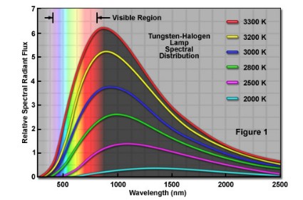 121212121.jpg 121212121.jpg