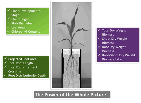 Power-Of-The-Whole-Picture.gif Power-Of-The-Whole-Picture.gif