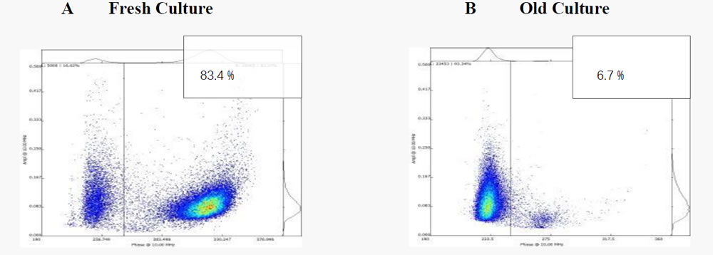 20220413fresh.jpg 20220413fresh.jpg