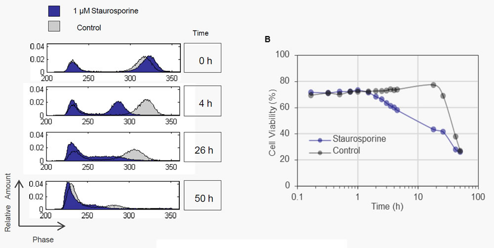 20220413bl22.jpg 20220413bl22.jpg