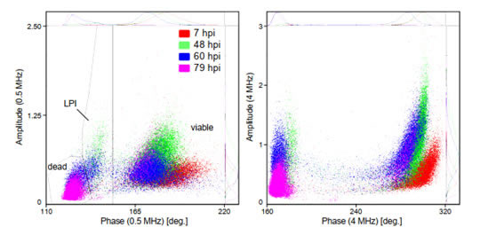 20220413kunchong2.jpg 20220413kunchong2.jpg