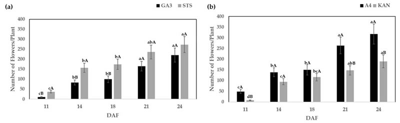 圖122041901s.jpg 圖122041901s.jpg