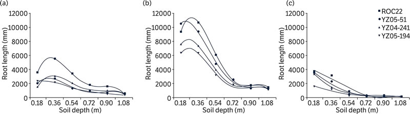 圖52205181.jpg 圖52205181.jpg