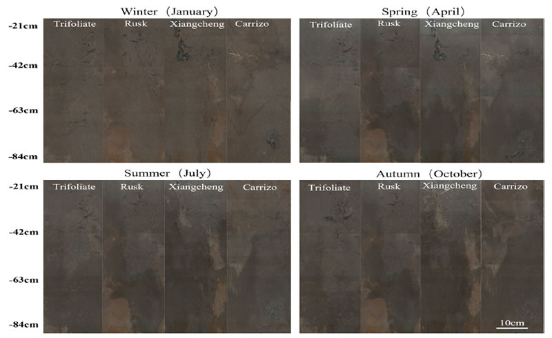 圖424052301.jpg 圖424052301.jpg