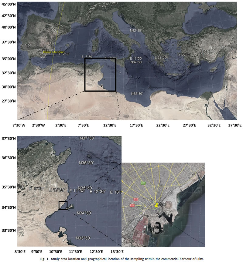 圖124053103.jpg 圖124053103.jpg