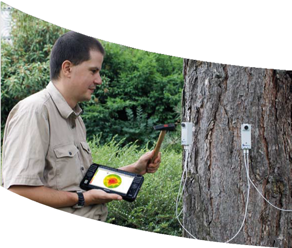 653606614f976.png 653606614f976.png