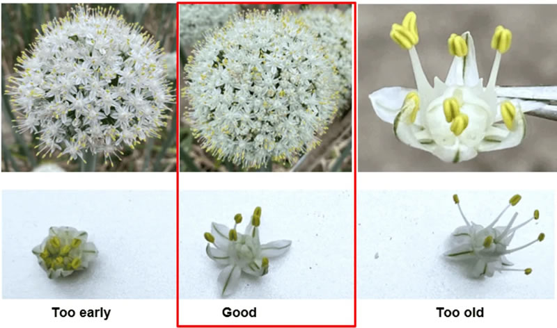 圖524041202.jpg 圖524041202.jpg