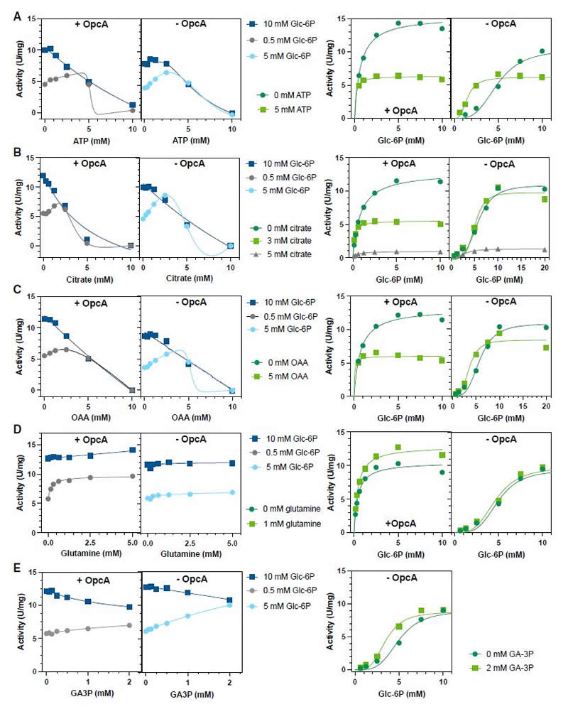 圖324120401.jpg 圖324120401.jpg