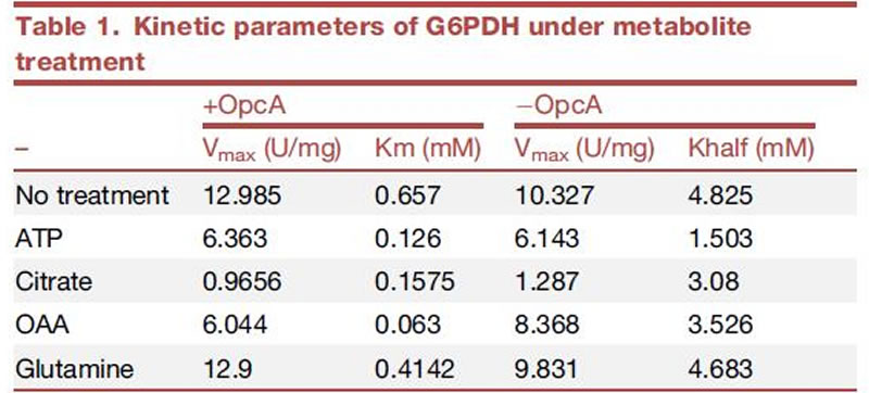 表124120401.jpg 表124120401.jpg