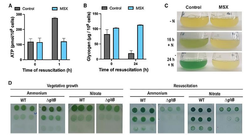 圖624120401.jpg 圖624120401.jpg