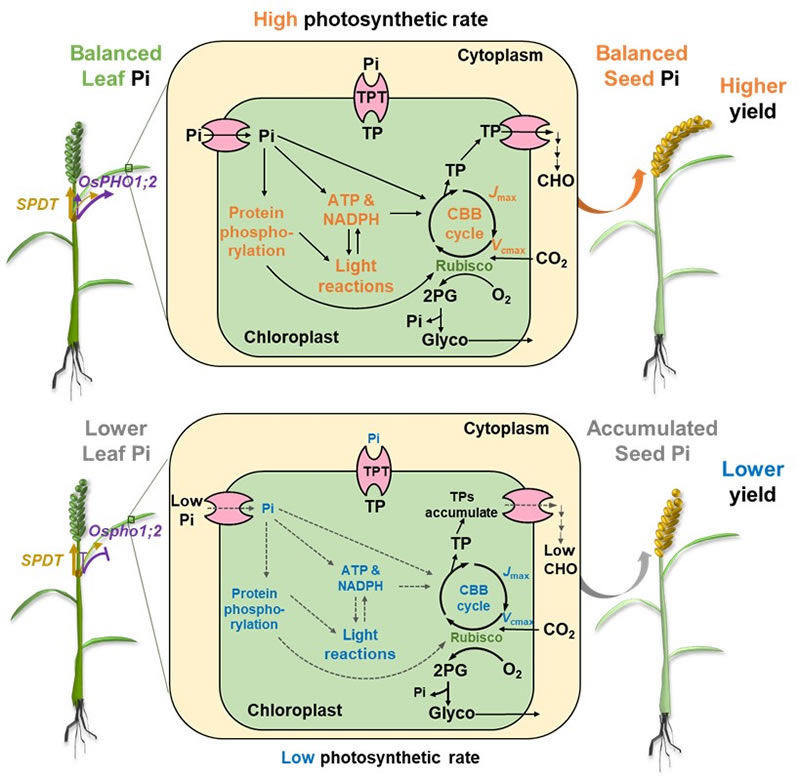 圖224081501.jpg 圖224081501.jpg