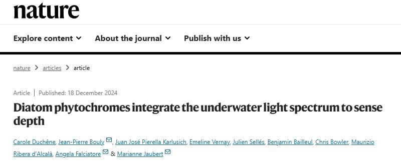 圖224121901.jpg 圖224121901.jpg