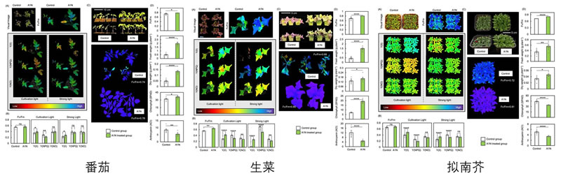 圖6-825022802s.jpg 圖6-825022802s.jpg