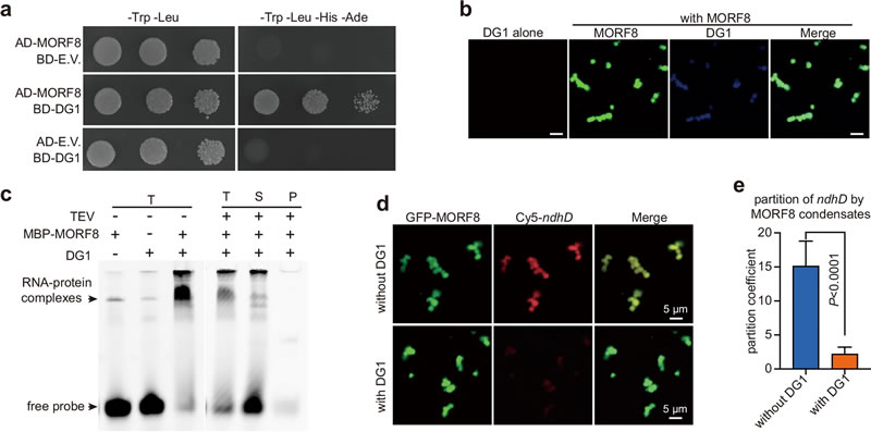 圖525032401s.jpg 圖525032401s.jpg