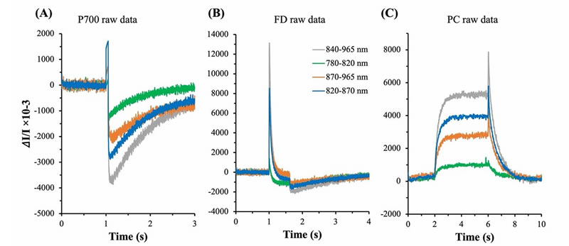 圖S625032601.jpg 圖S625032601.jpg