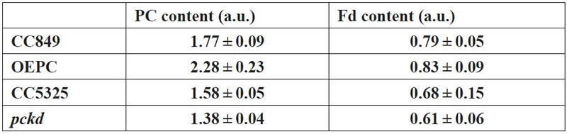 表125032601.jpg 表125032601.jpg