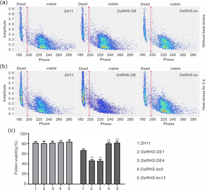 圖425033101.jpg 圖425033101.jpg