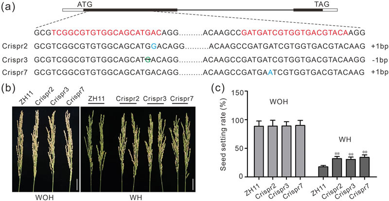圖625033101.jpg 圖625033101.jpg