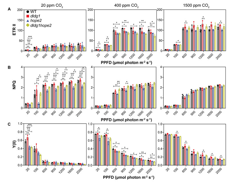 圖250828PP-3.jpg 圖250828PP-3.jpg