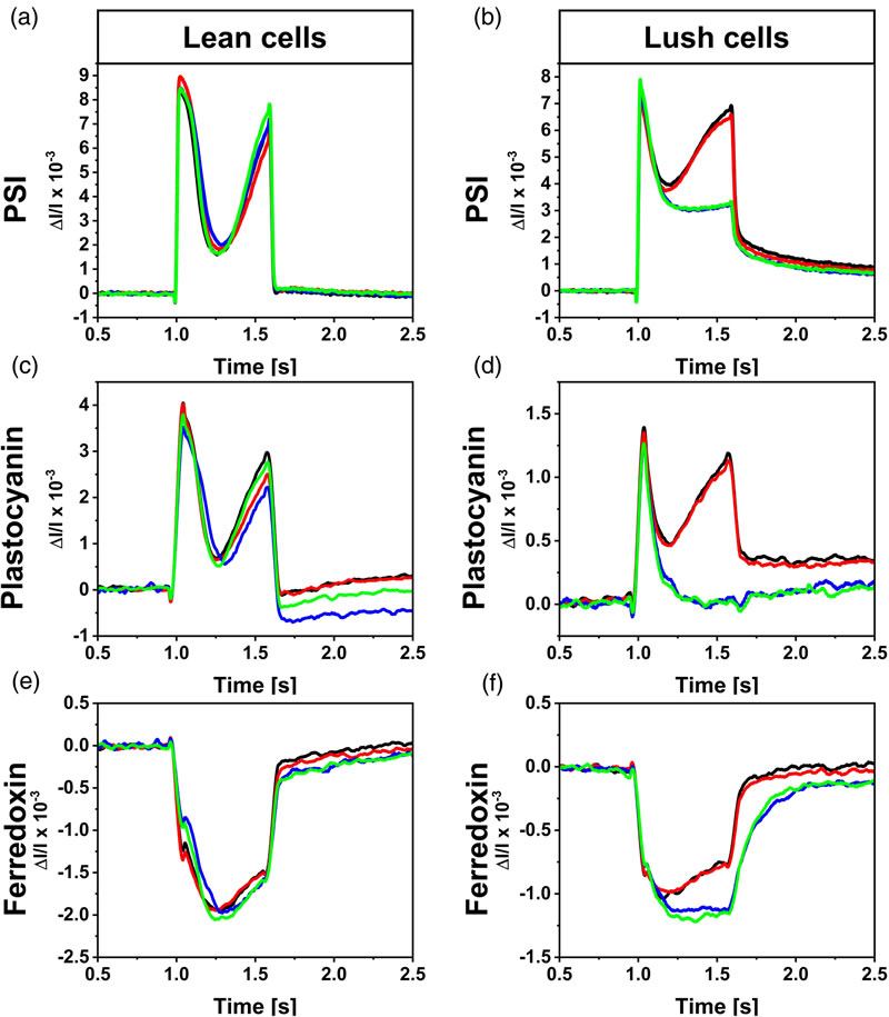 圖425090301.jpg 圖425090301.jpg