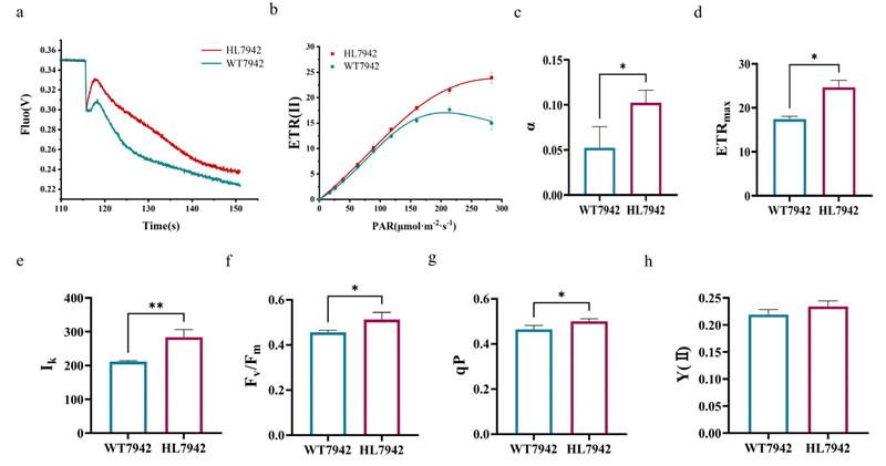 圖525090301.jpg 圖525090301.jpg