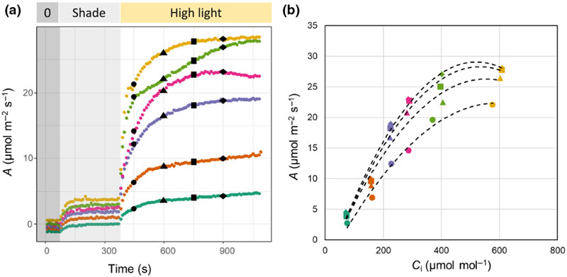 圖425060501.jpg 圖425060501.jpg