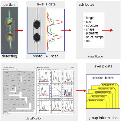 圖片19.png 圖片19.png
